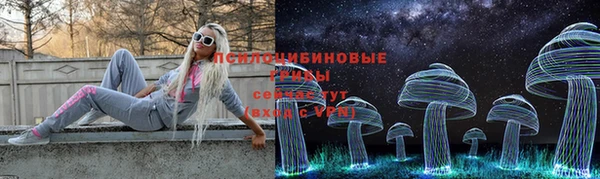 молекула духа Беломорск