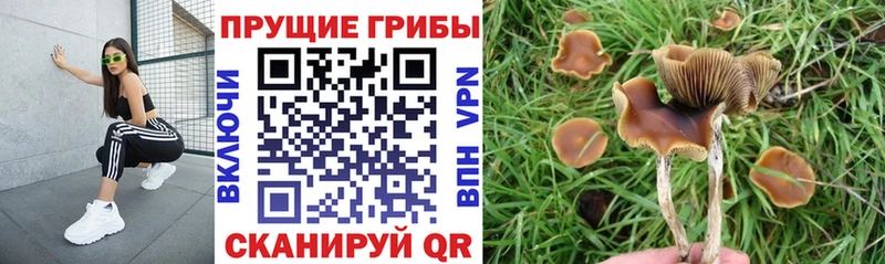хочу наркоту Вуктыл Псилоцибиновые грибы мухоморы